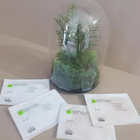 Blue Solaire Gasthuis Năvodari